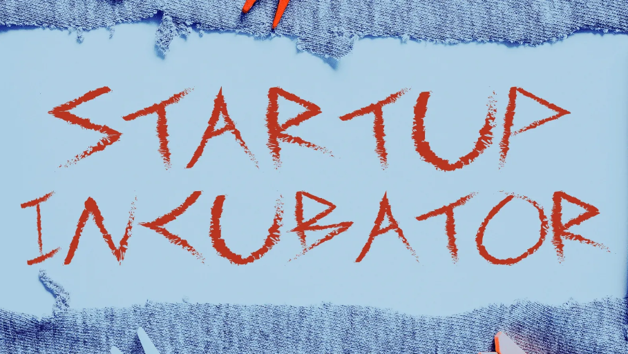 Incubators and accelerators in Italy: the Social Innovation Monitor 2023 statistics